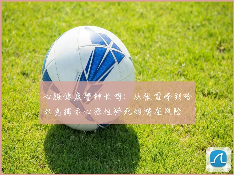 心脏健康警钟长鸣：从张雪峰到哈尔克揭示心源性猝死的潜在风险